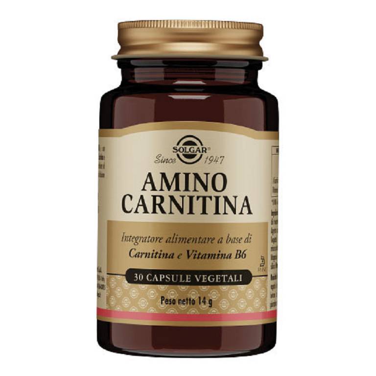 AMINO CARNITINA 30CPS